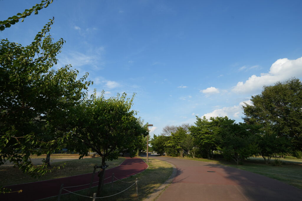 SEL16F18Gの風景