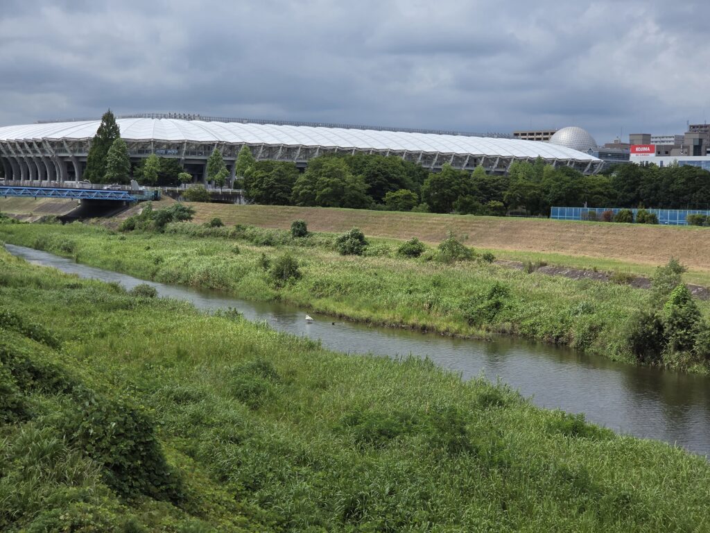光学3倍