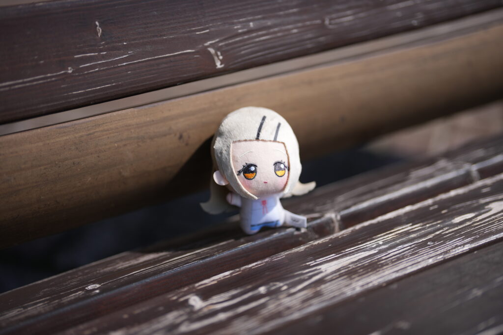 SEL50F12GM篠澤広