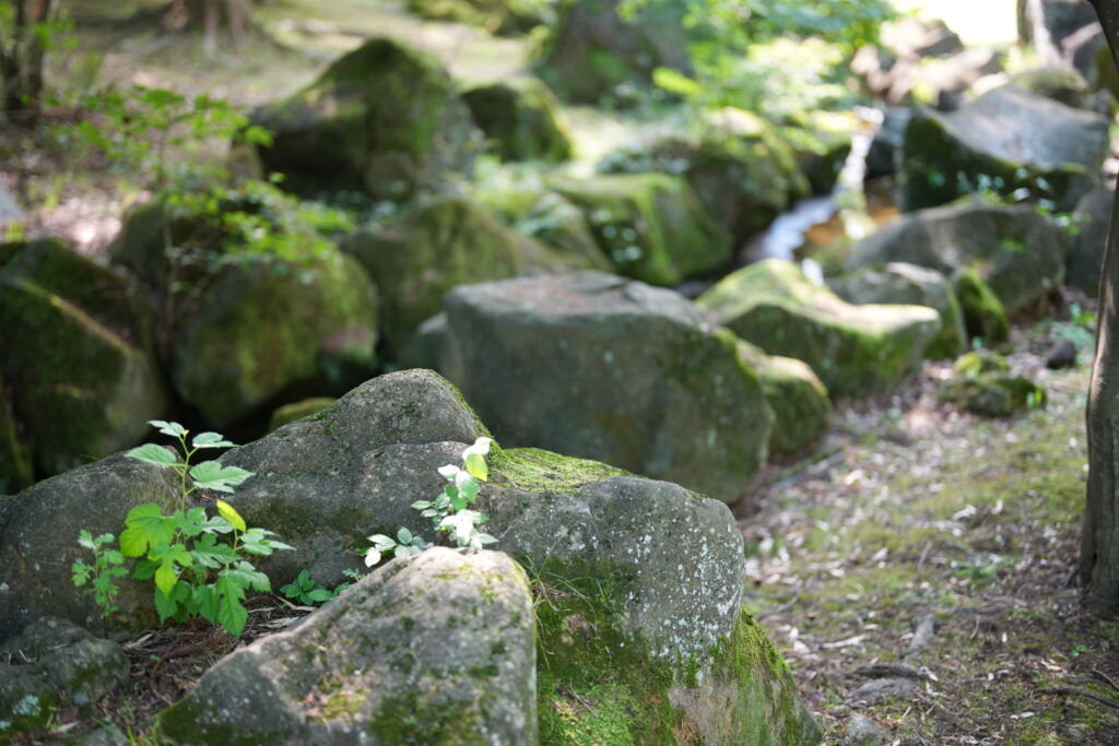 SEL50F12GM川