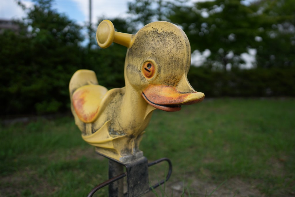 アヒル