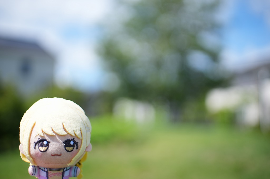 ことねの景色