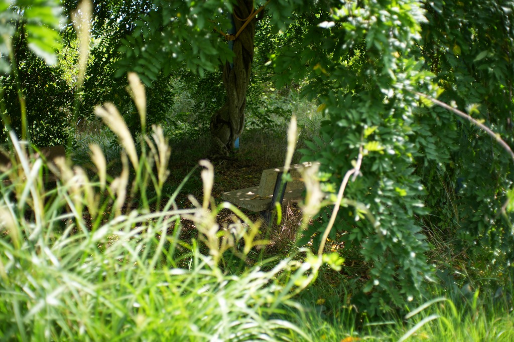 ベンチ