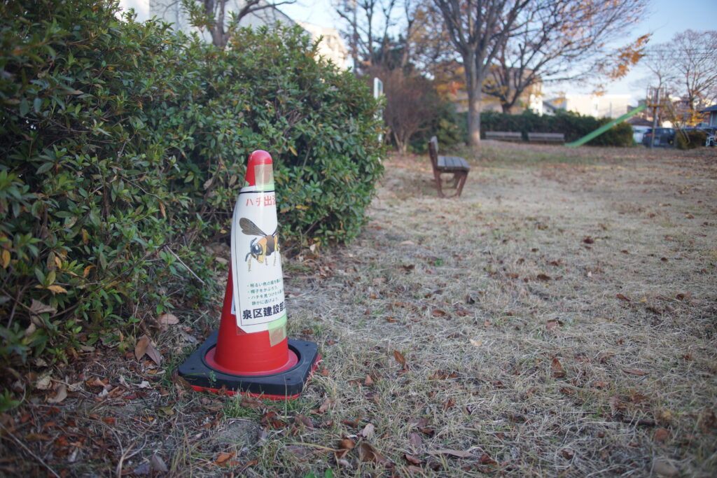 ズーム前AF ZOOM 28-70mm F2.8 G