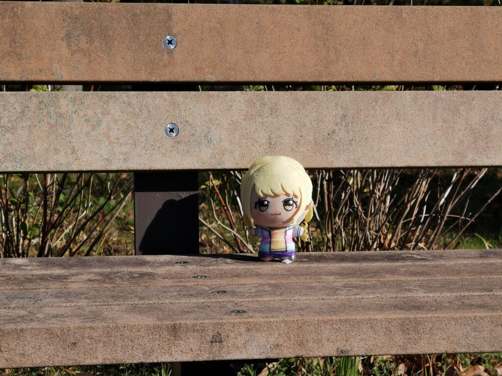 光学5倍ズーム時