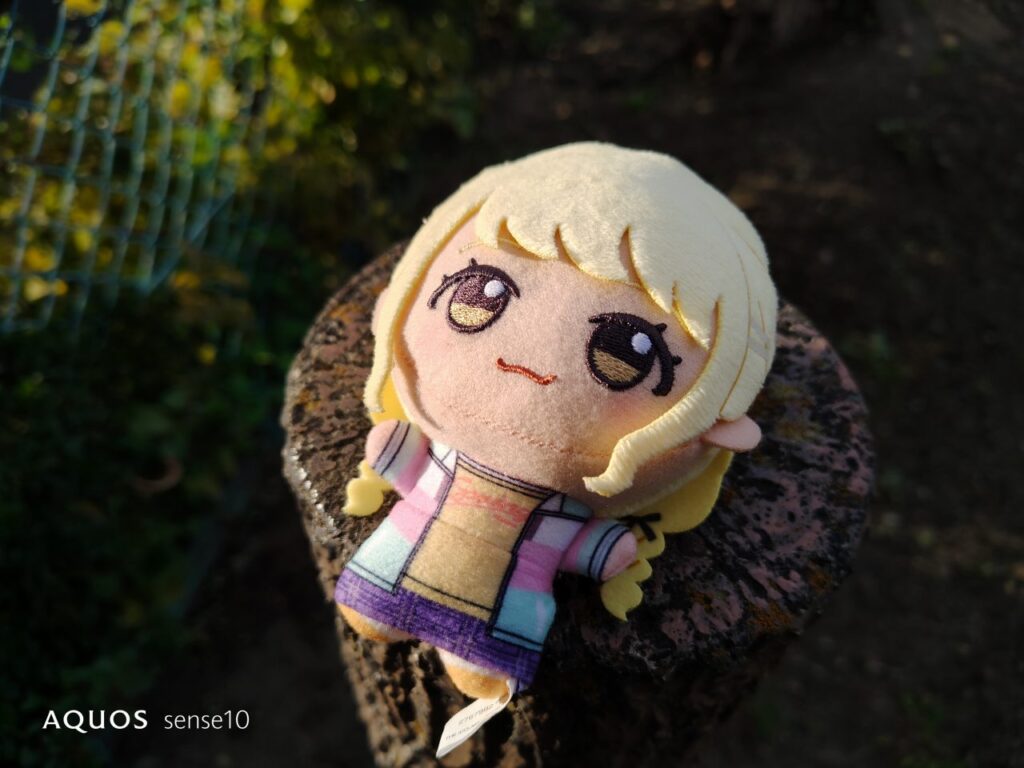 AQUOS sense10の作例1