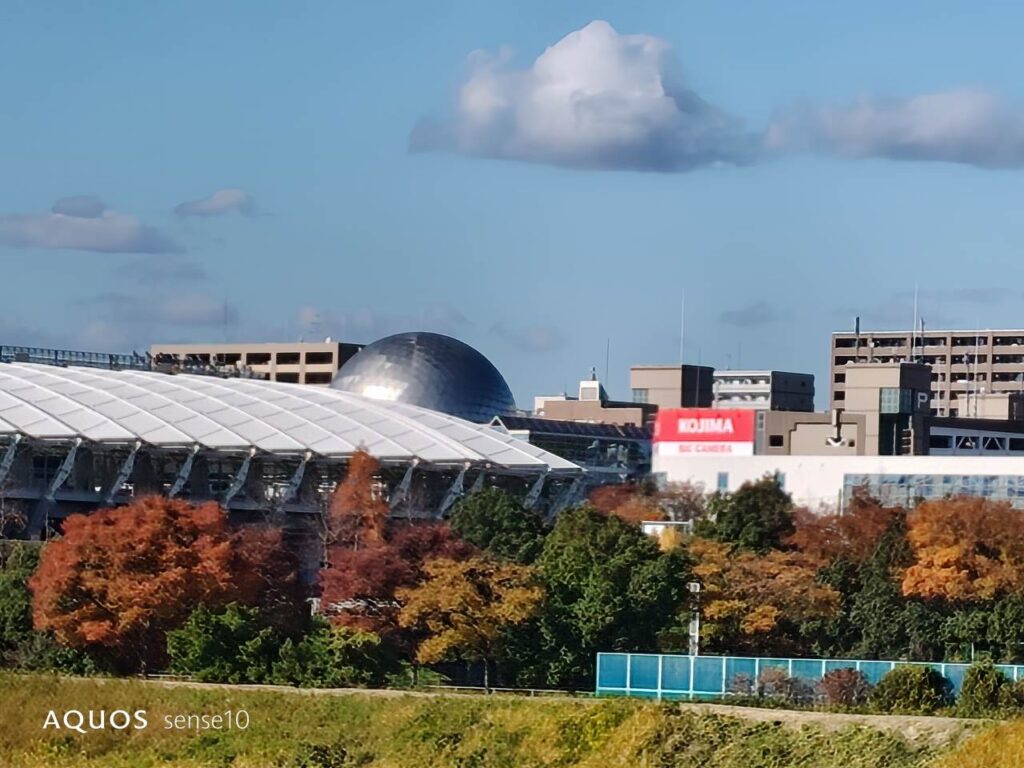 AQUOS sense10の作例の望遠