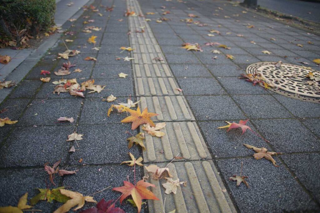 AF ZOOM 28-70mm F2.8 Gの作例