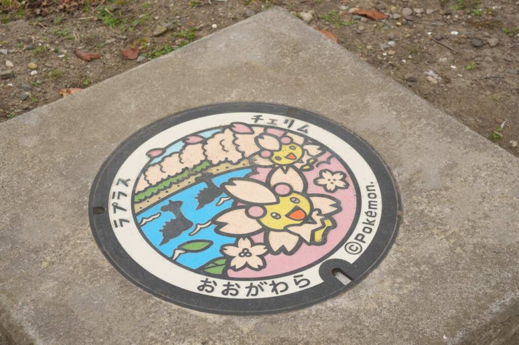 チェリムのポケふた