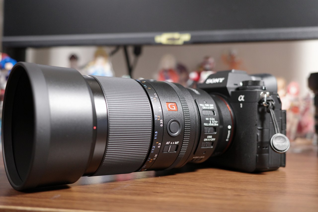 FE 100mm F2.8 Macro GM OSSとα1 II