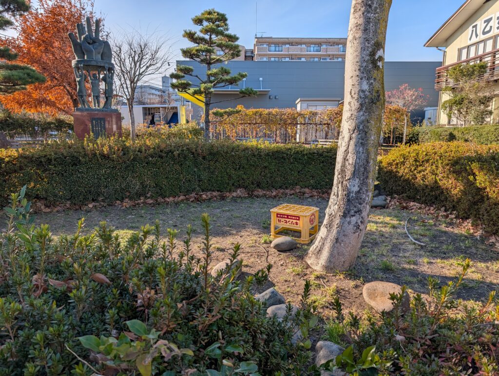 Pixel 10 Proズーム前