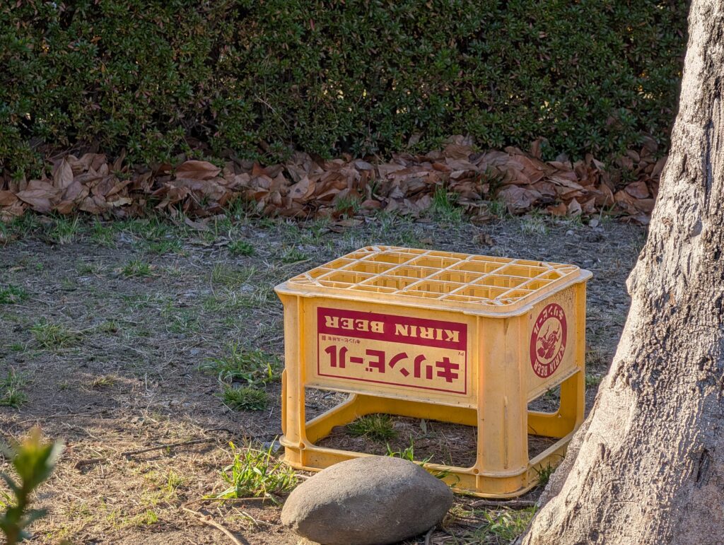 Pixel 10 Proズーム後