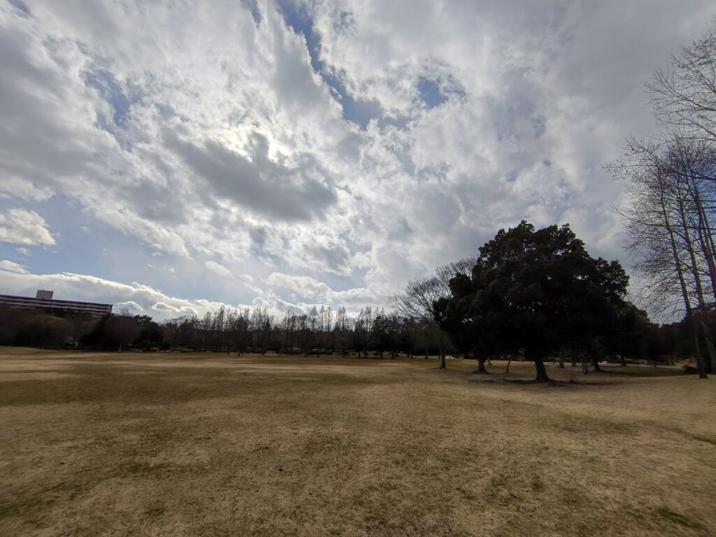 Nothing Phone (3a) Lite超広角