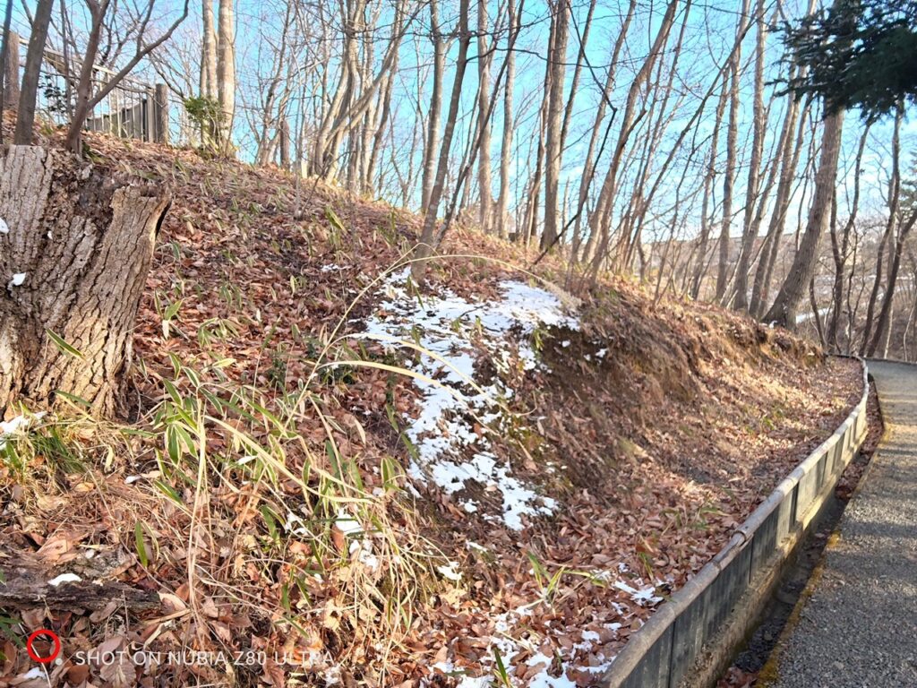 nubia Z80 Ultraの空