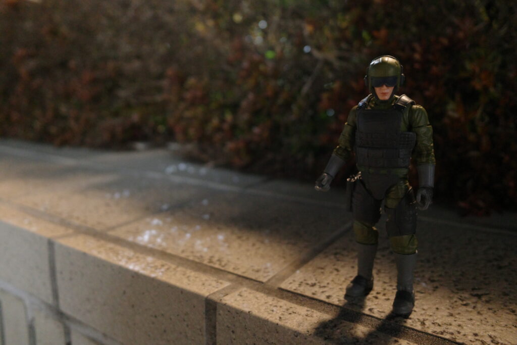 GR IVフィギュア夜景