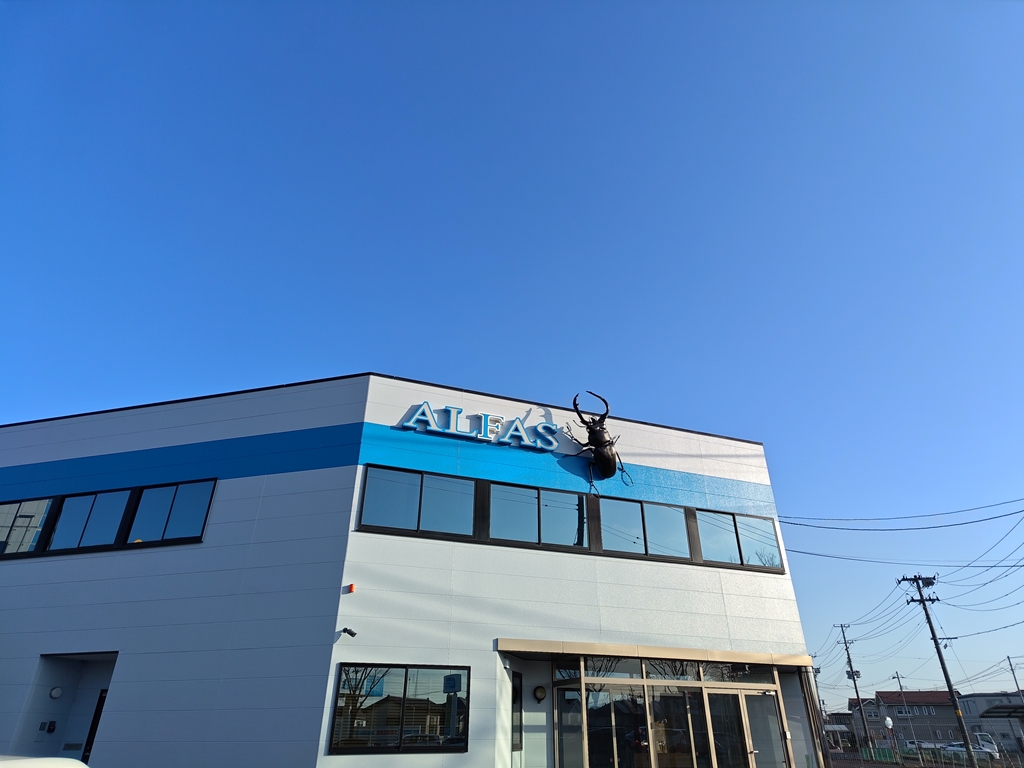 nubia Foldのズーム前