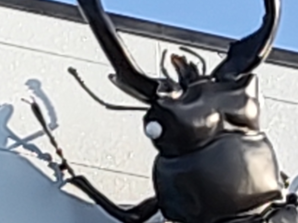 nubia Foldのズーム後