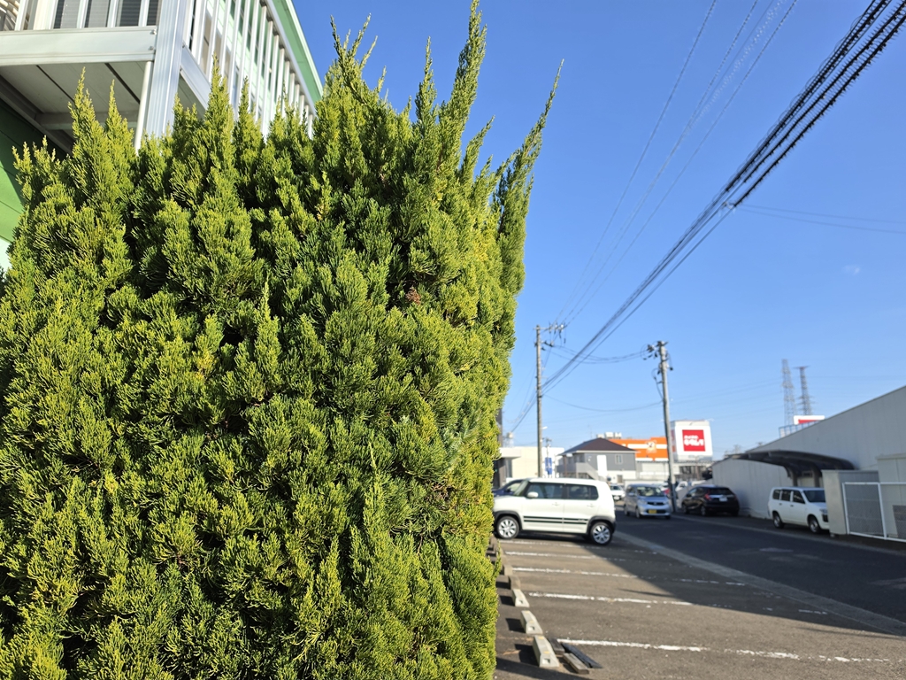 Galaxy S26 Ultraの自然