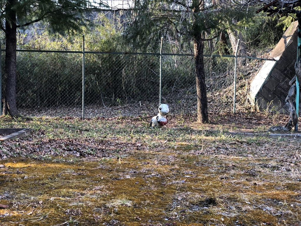 2倍ズームiPhone X