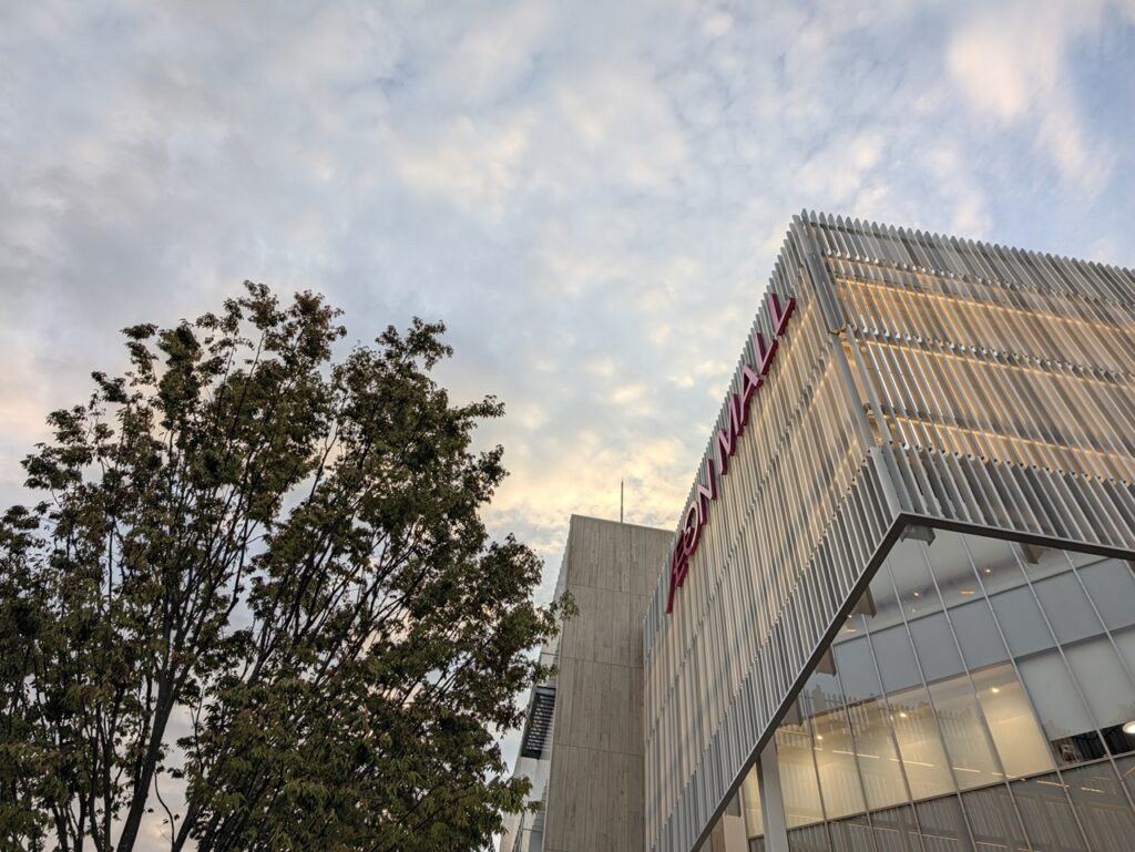 Pixel 11 Pro夕方
